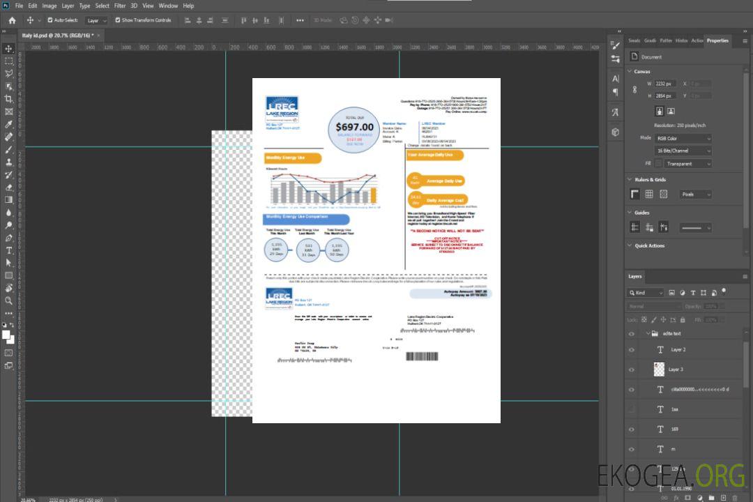 Facture commerciale de service public de Lake Region Electric Cooperative, SCR template